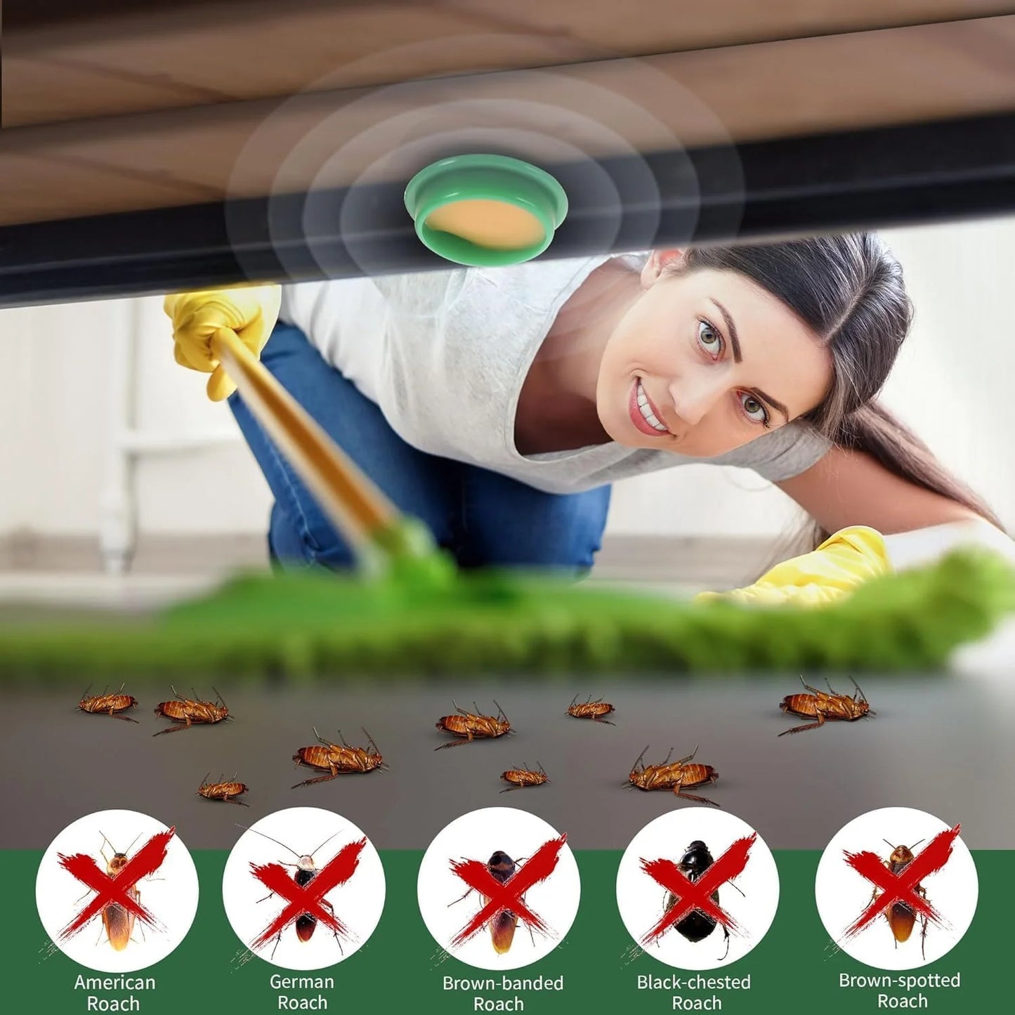 Cockroach Killer Gel (Pack of 2)